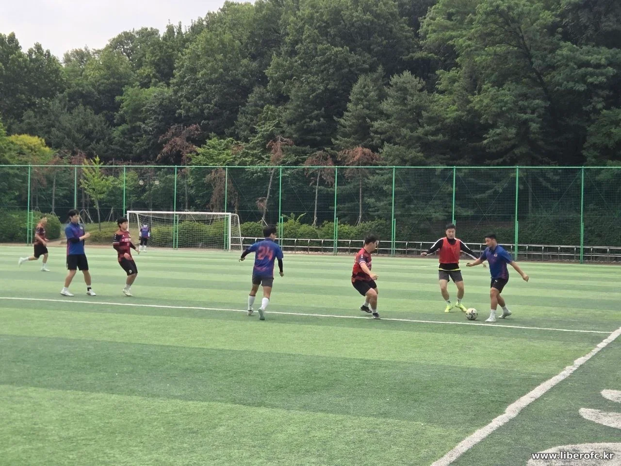 경기 액션