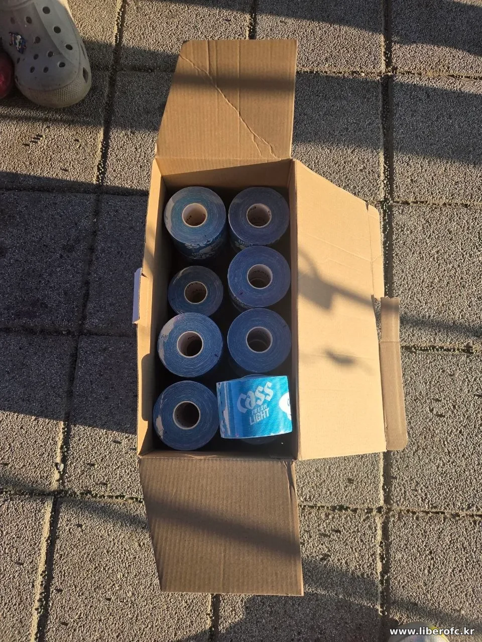 사진